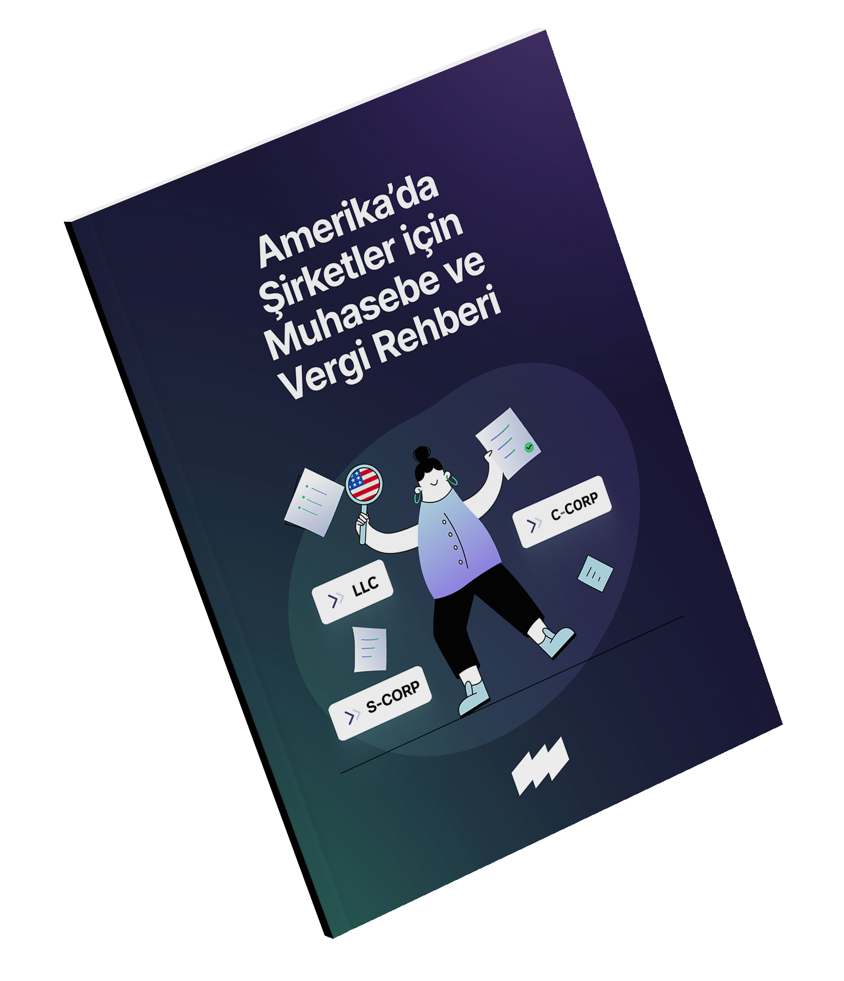 amerikada-sirketler-icin-muhasebe-ve-vergi-rehberi-lp